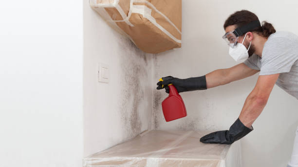 Professional Mold Removal technician working in Alto, MI